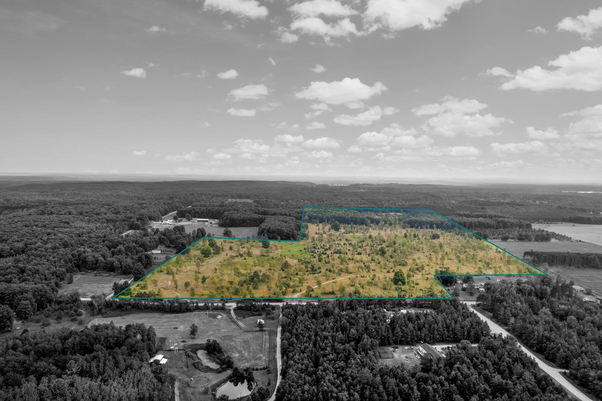 0 Inman Road Southwest Fife Lake, MI 49633 - Photo 8 of 29