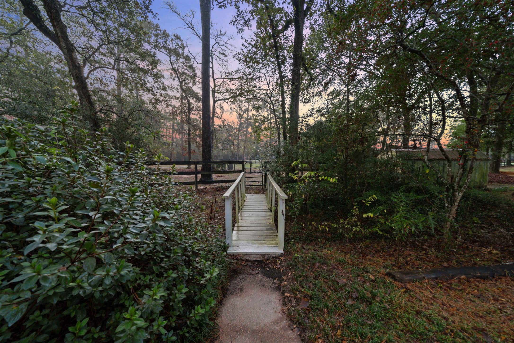22323 Roberts Cemetery Road Hockley, TX 77447 - Photo 41 of 50 a view of a pathway of a yard