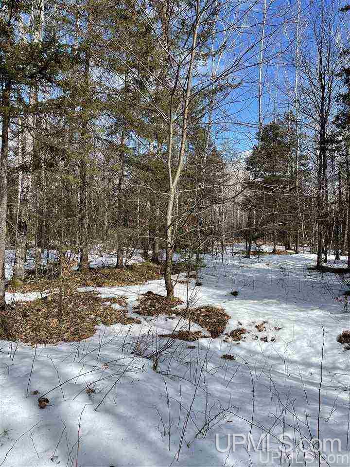 Tbd Tbd Co Road, Unit 1 Marquette, MI 49855 - Photo 28 of 50