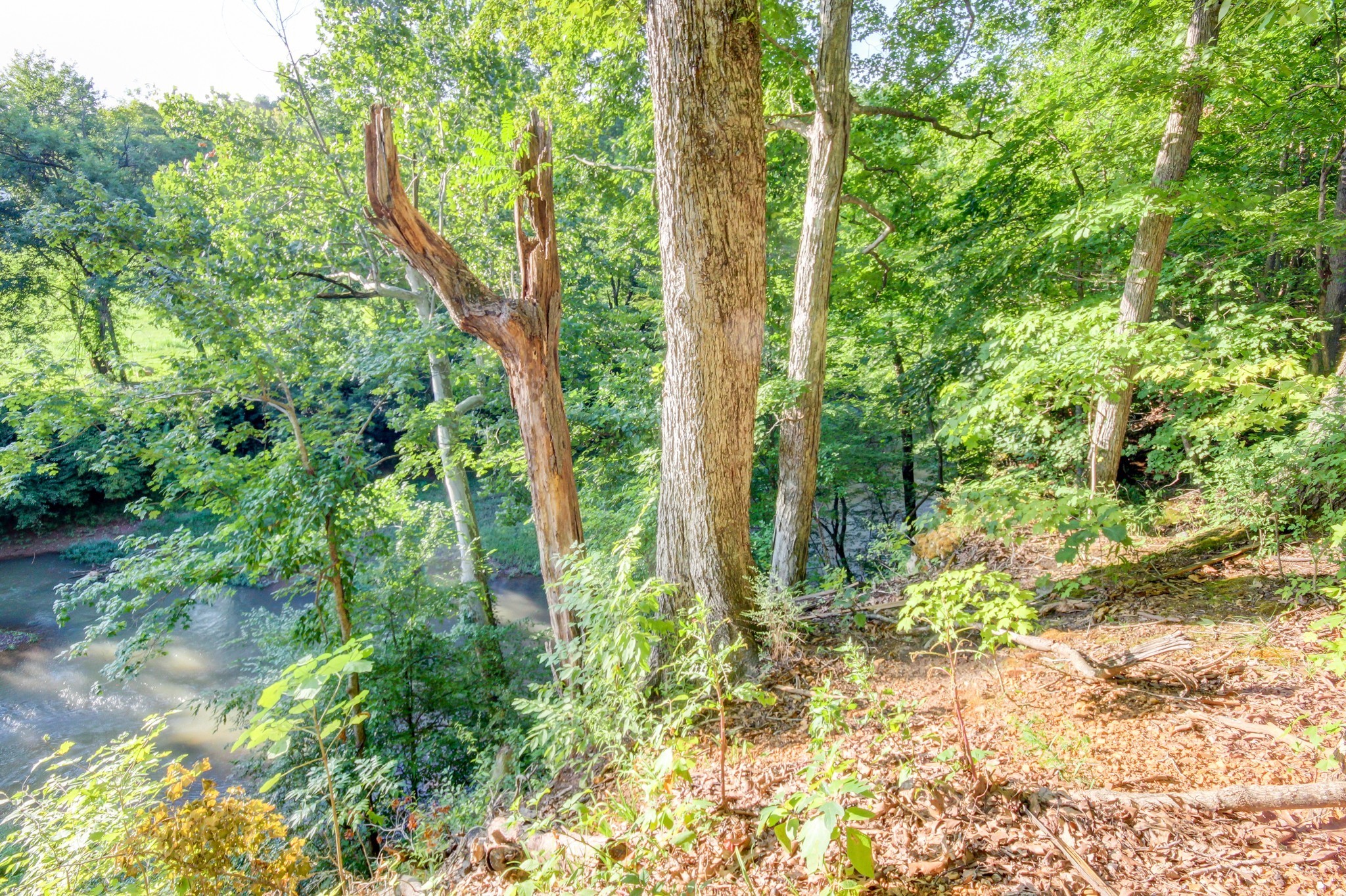 1460 McClardy Road Clarksville, TN 37042 - Photo 15 of 15 a plant view in yard