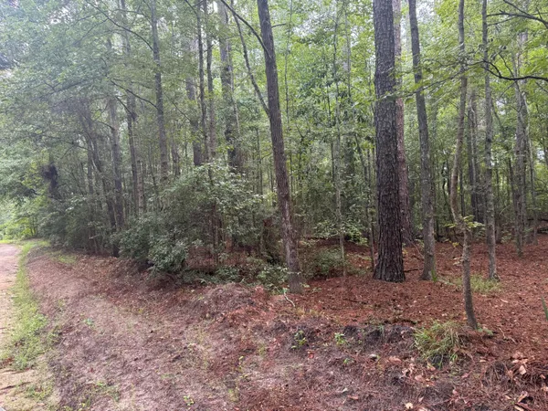 $45,000 | 0 Charles Street, Varnville, SC 29944