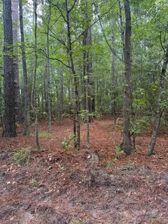 $45,000 | 0 Charles Street, Varnville, SC 29944