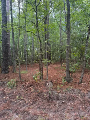 $45,000 | 0 Charles Street, Varnville, SC 29944