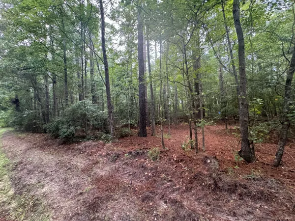 $45,000 | 0 Charles Street, Varnville, SC 29944