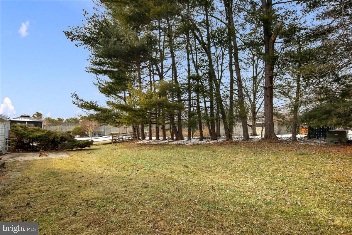 12814 Pinecrest Road Herndon, VA 20171 - Photo 28 of 31 Trees Add Privacy