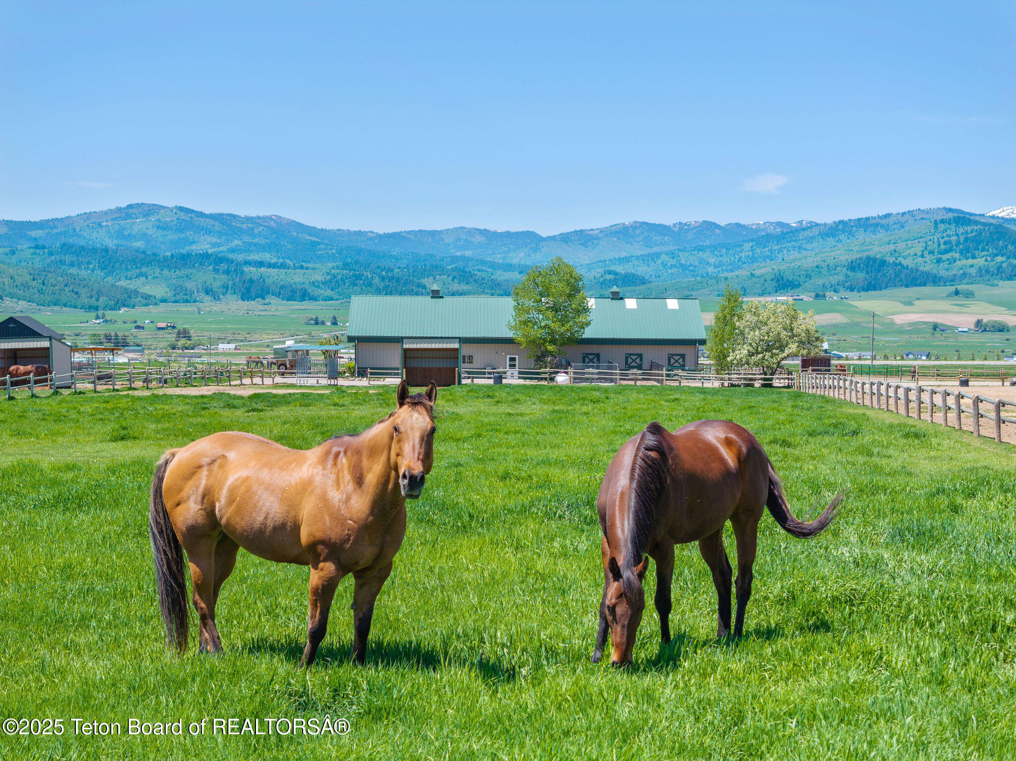 86 Hawks Rest Road Etna, WY 83118 - Photo 55 of 72 DJI_20250530190714_0895_D