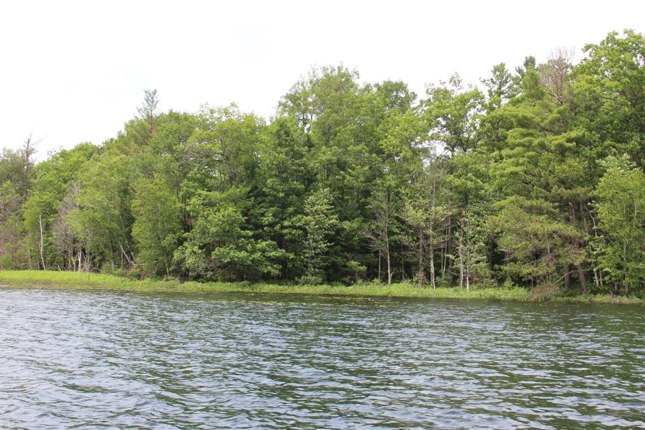 On Squirrel Lake Road Minocqua, WI 54548 - Photo 4 of 7 Gallery Image 4