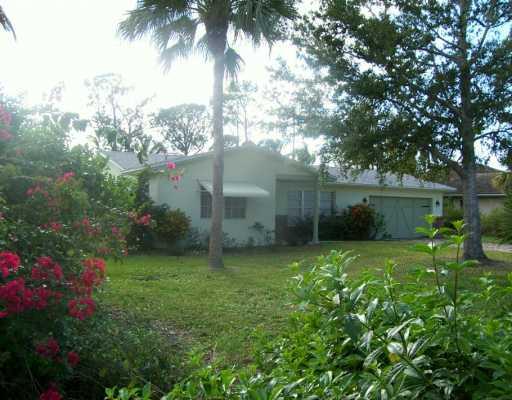 a backyard of a house with table and chairs plants and large tree