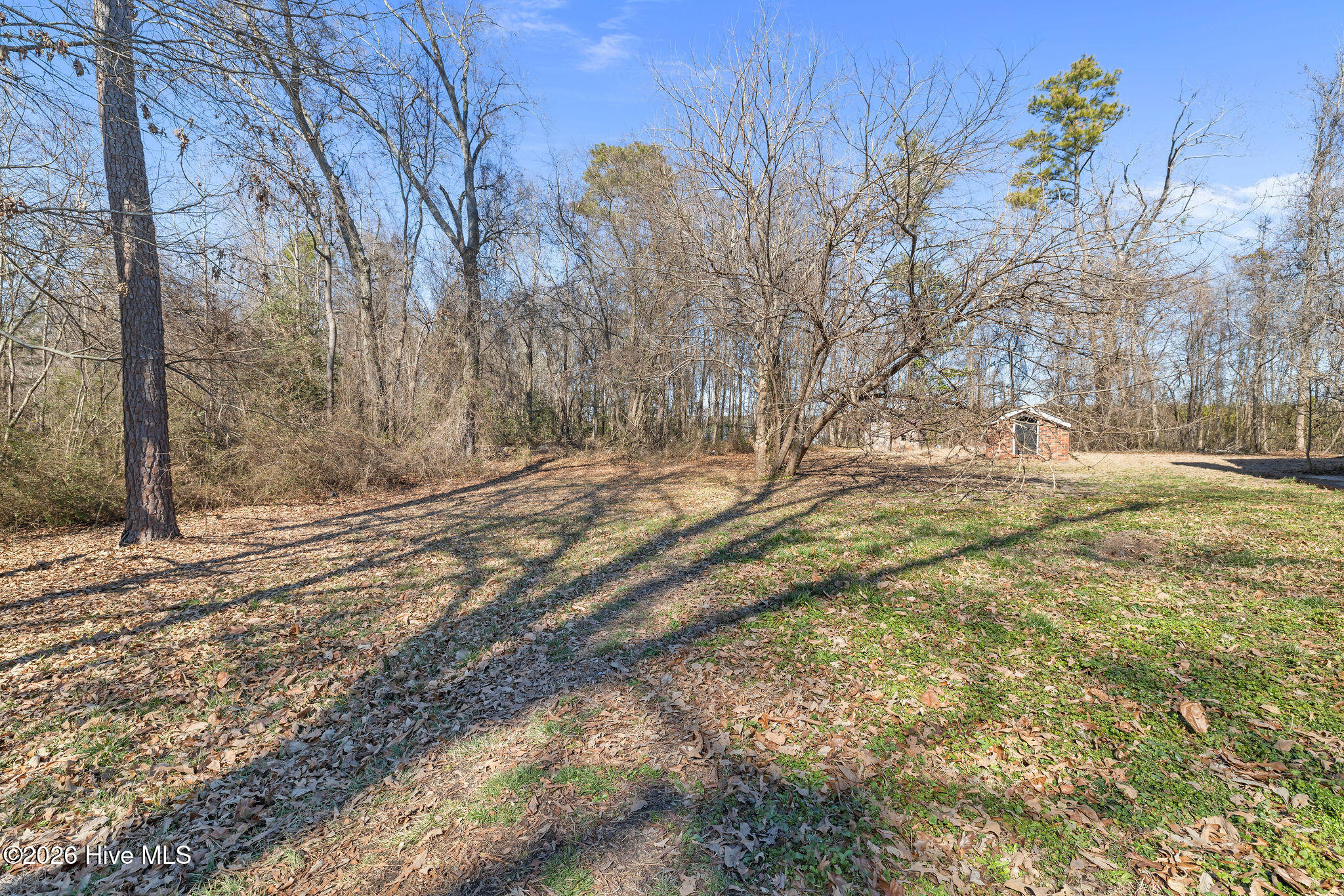 5930 A Glory Road Lucama, NC 27851 - Photo 34 of 37 5T5A9283