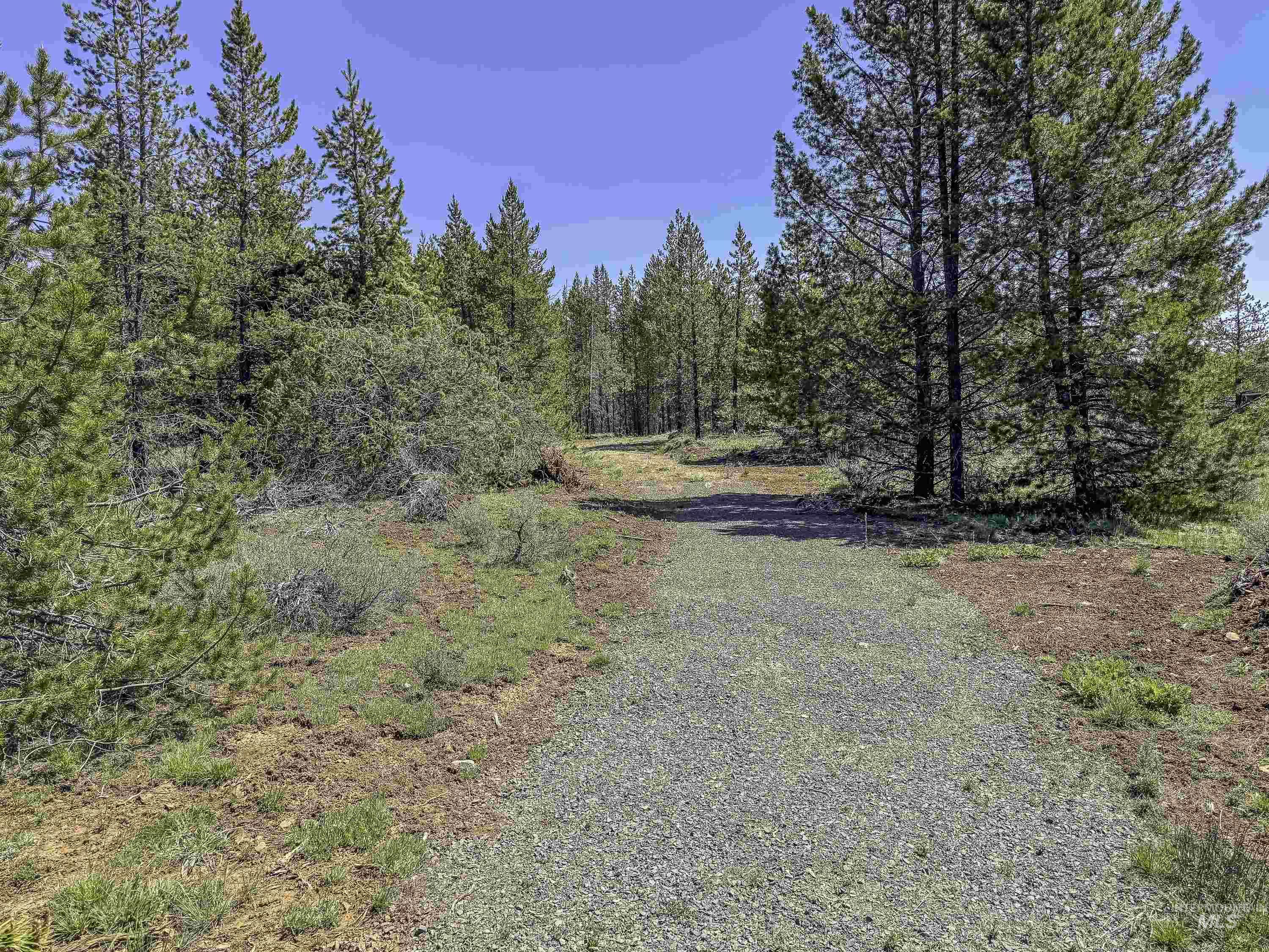 Tbd Deer Creek Road Winchester, ID 83555 - Photo 39 of 39