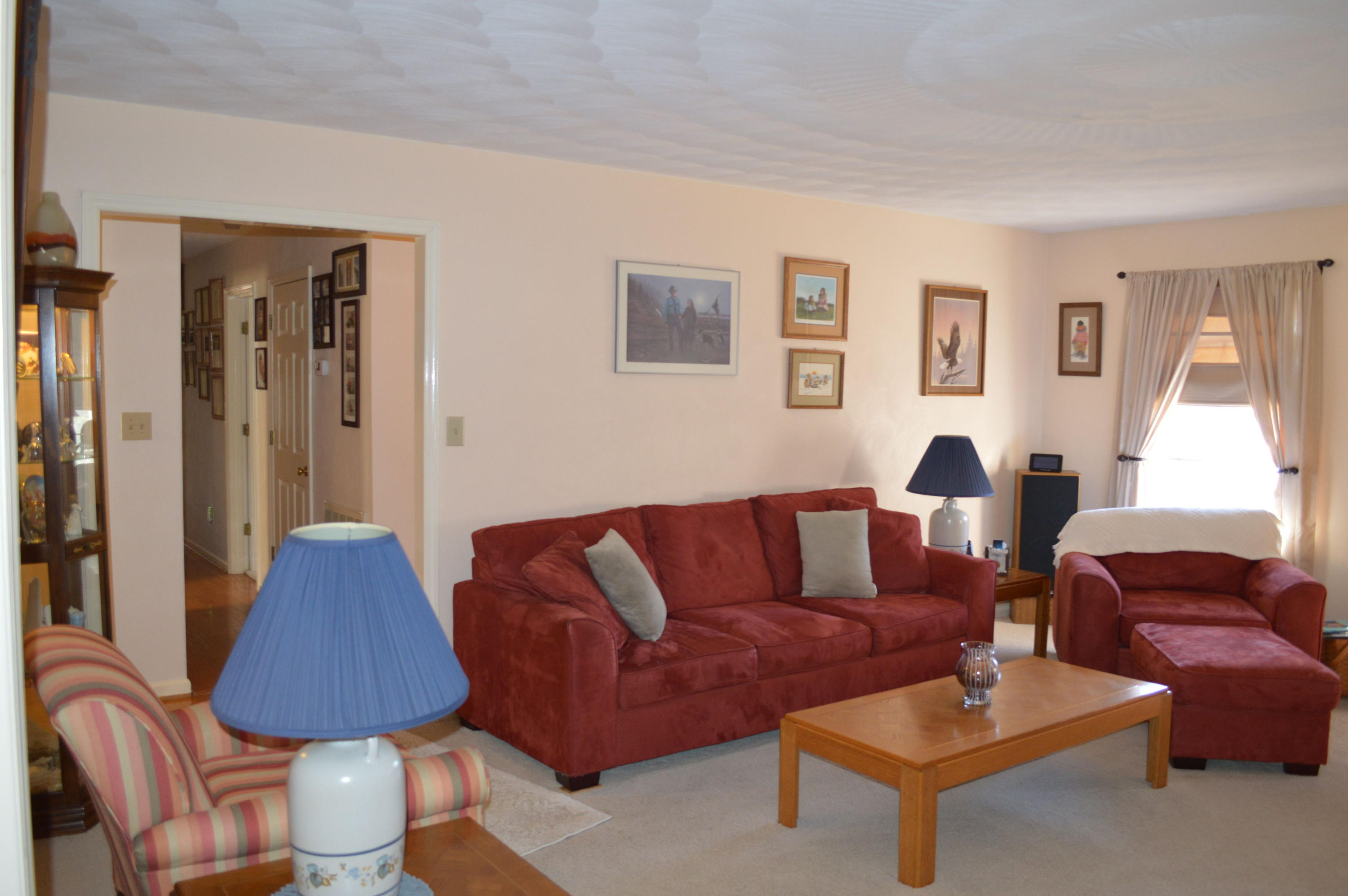 92 Oak Crest Drive Blue Ridge, VA 24064 - Photo 36 of 48 a living room with furniture and a lamp