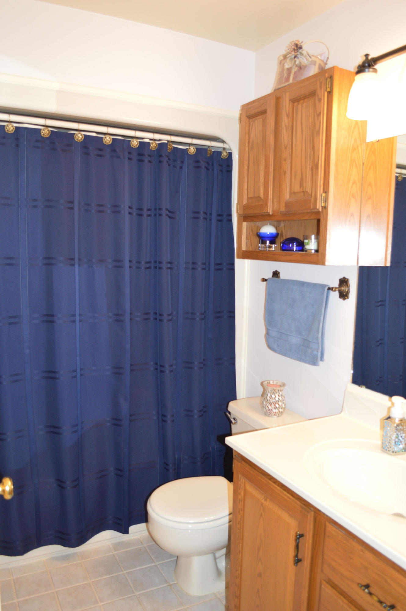 92 Oak Crest Drive Blue Ridge, VA 24064 - Photo 41 of 48 a bathroom with a sink a toilet and shower