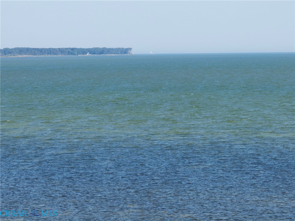 247 Pond Point Place Foster, VA 23056 - Photo 2 of 57