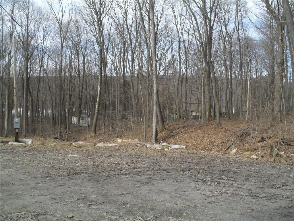 439 Cranberry Road Confluence, PA 15424 - Photo 2 of 16