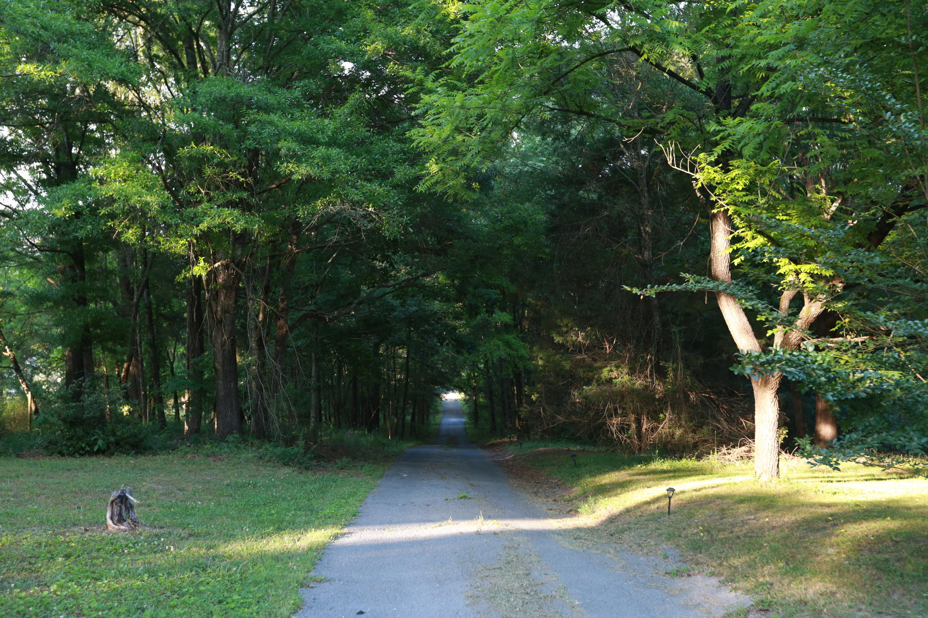 7244 Sims Road Harrison, TN 37341 - Photo 29 of 51 Harrison Property-0041