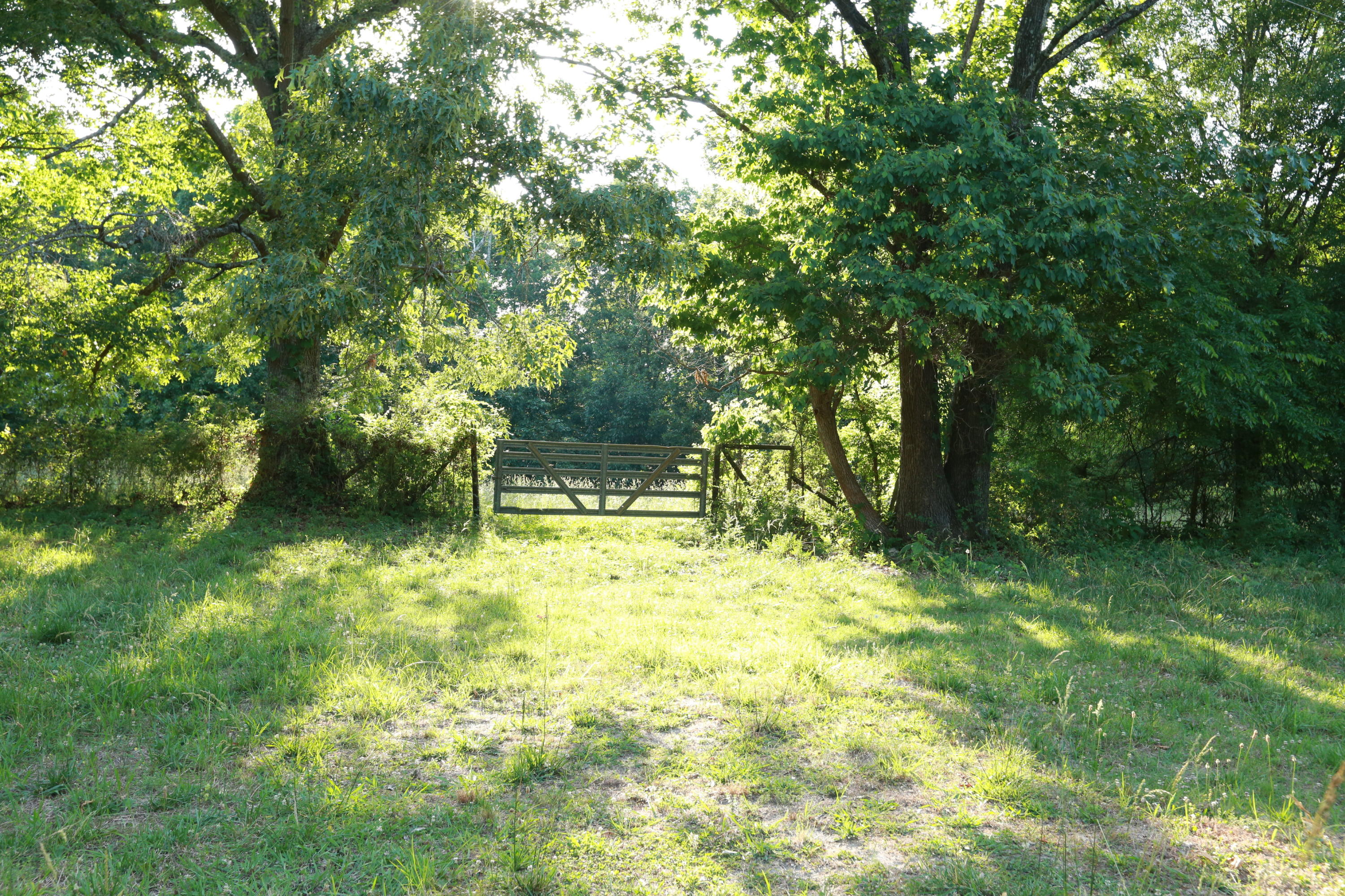 7244 Sims Road Harrison, TN 37341 - Photo 37 of 51 Harrison Property-0050