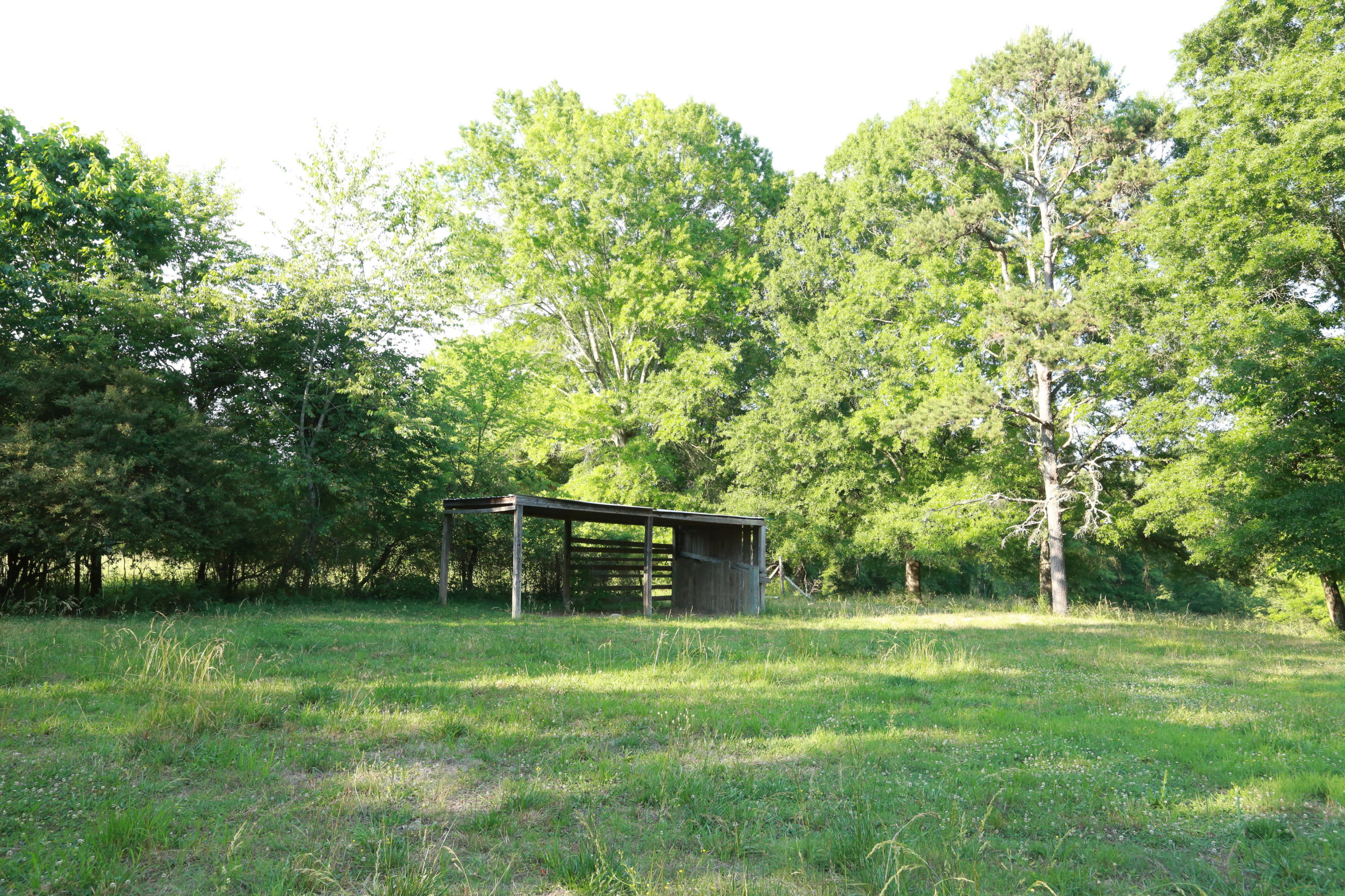 7244 Sims Road Harrison, TN 37341 - Photo 38 of 51 Harrison Property-0051
