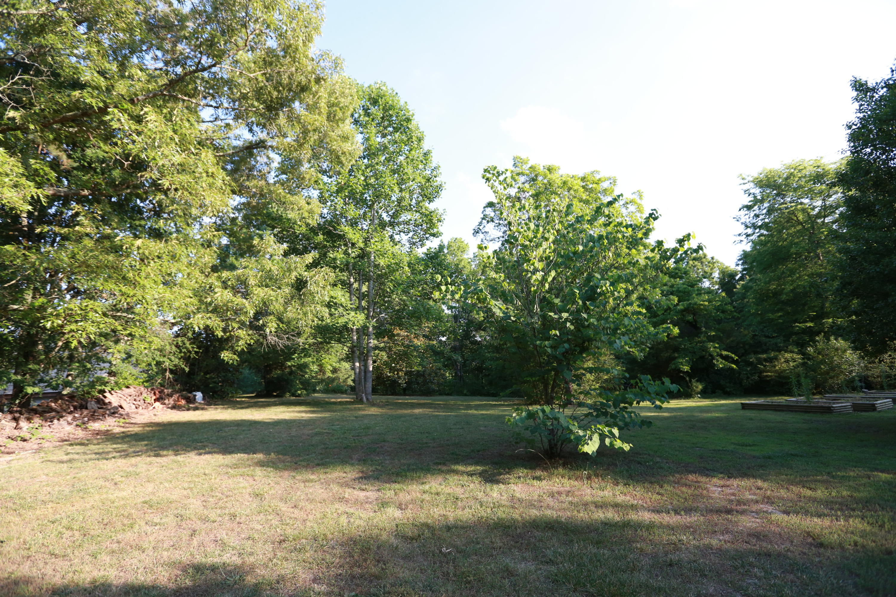7244 Sims Road Harrison, TN 37341 - Photo 43 of 51 Harrison Property-0055