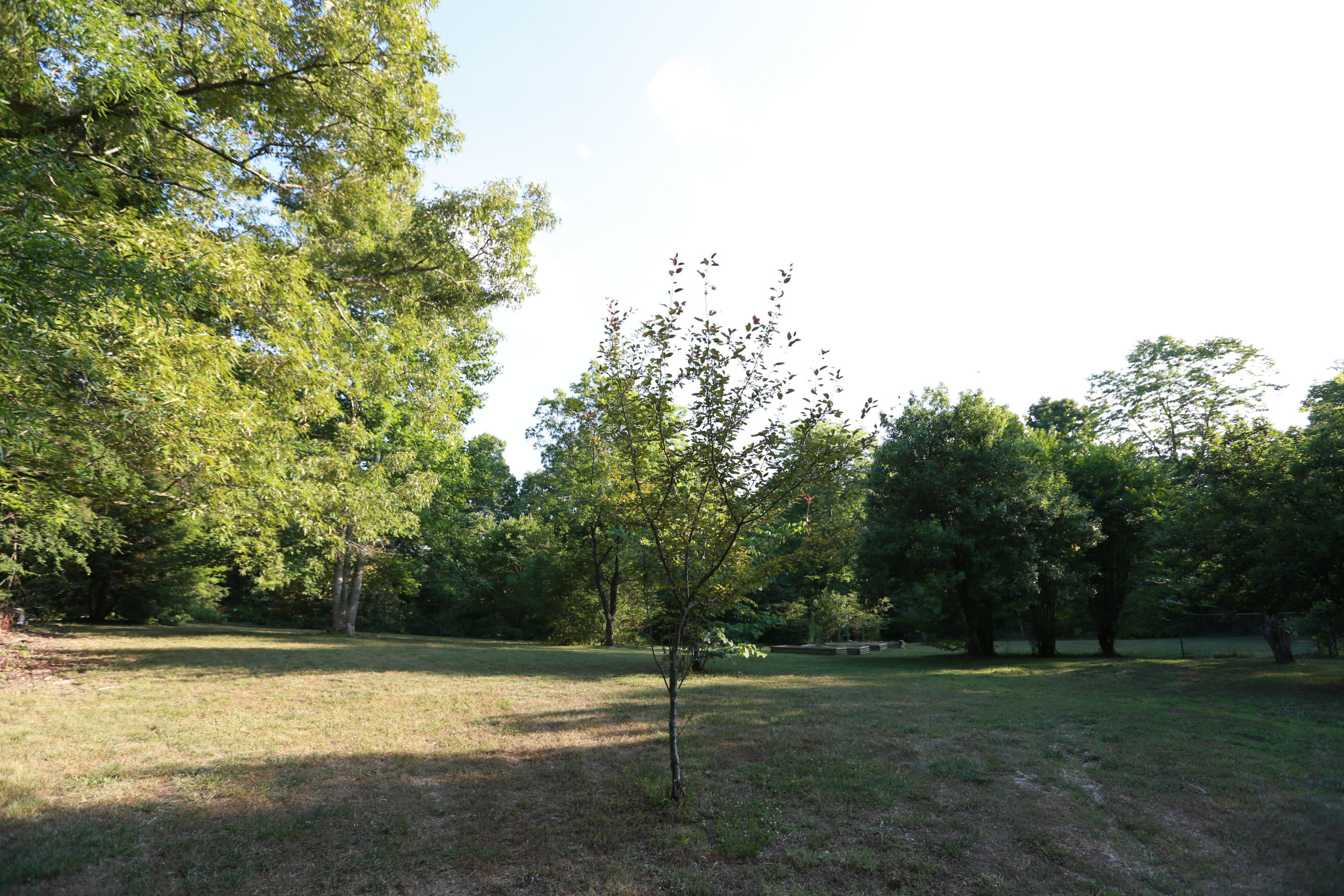7244 Sims Road Harrison, TN 37341 - Photo 44 of 51 Harrison Property-0056