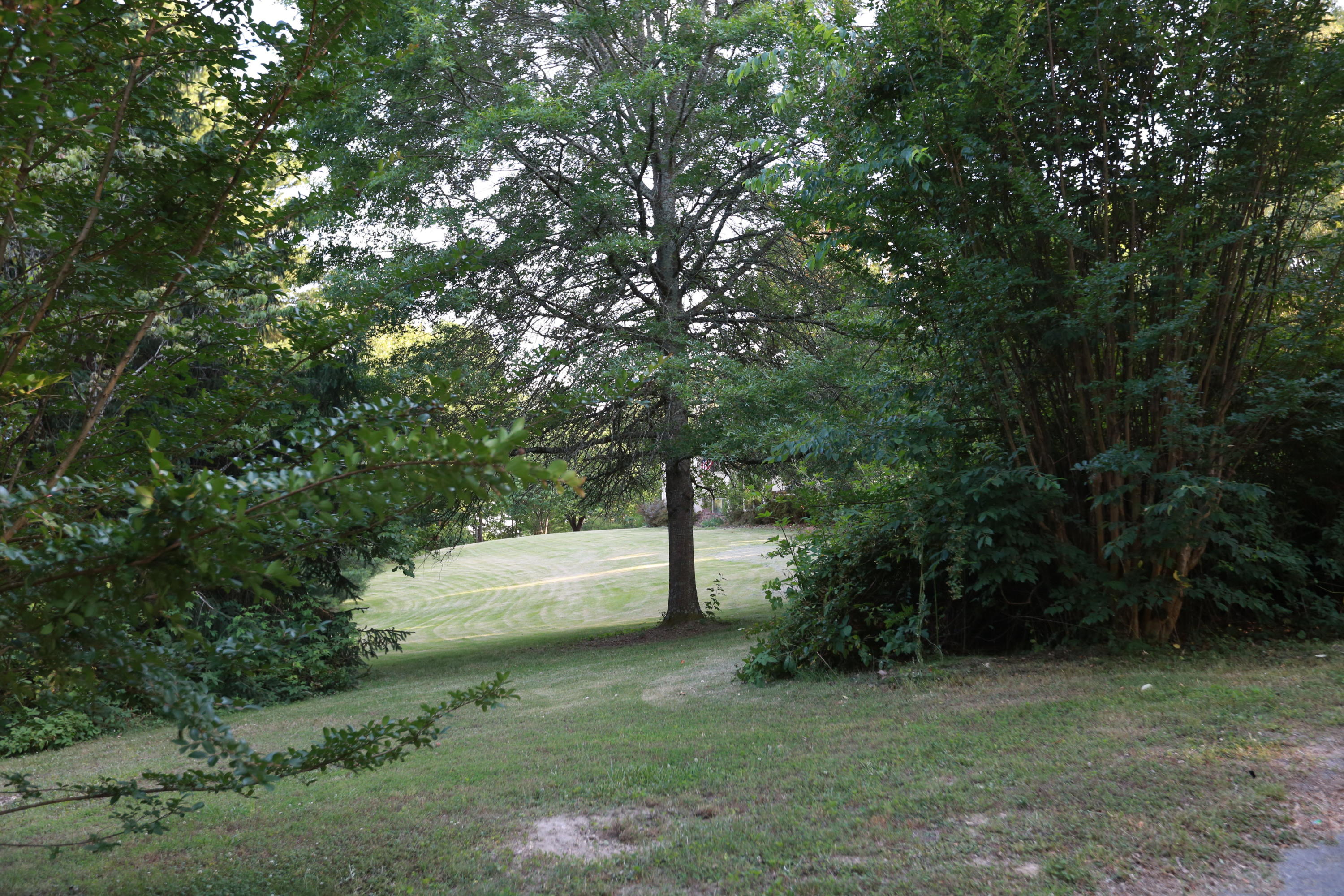 7244 Sims Road Harrison, TN 37341 - Photo 45 of 51 Harrison Property-0058