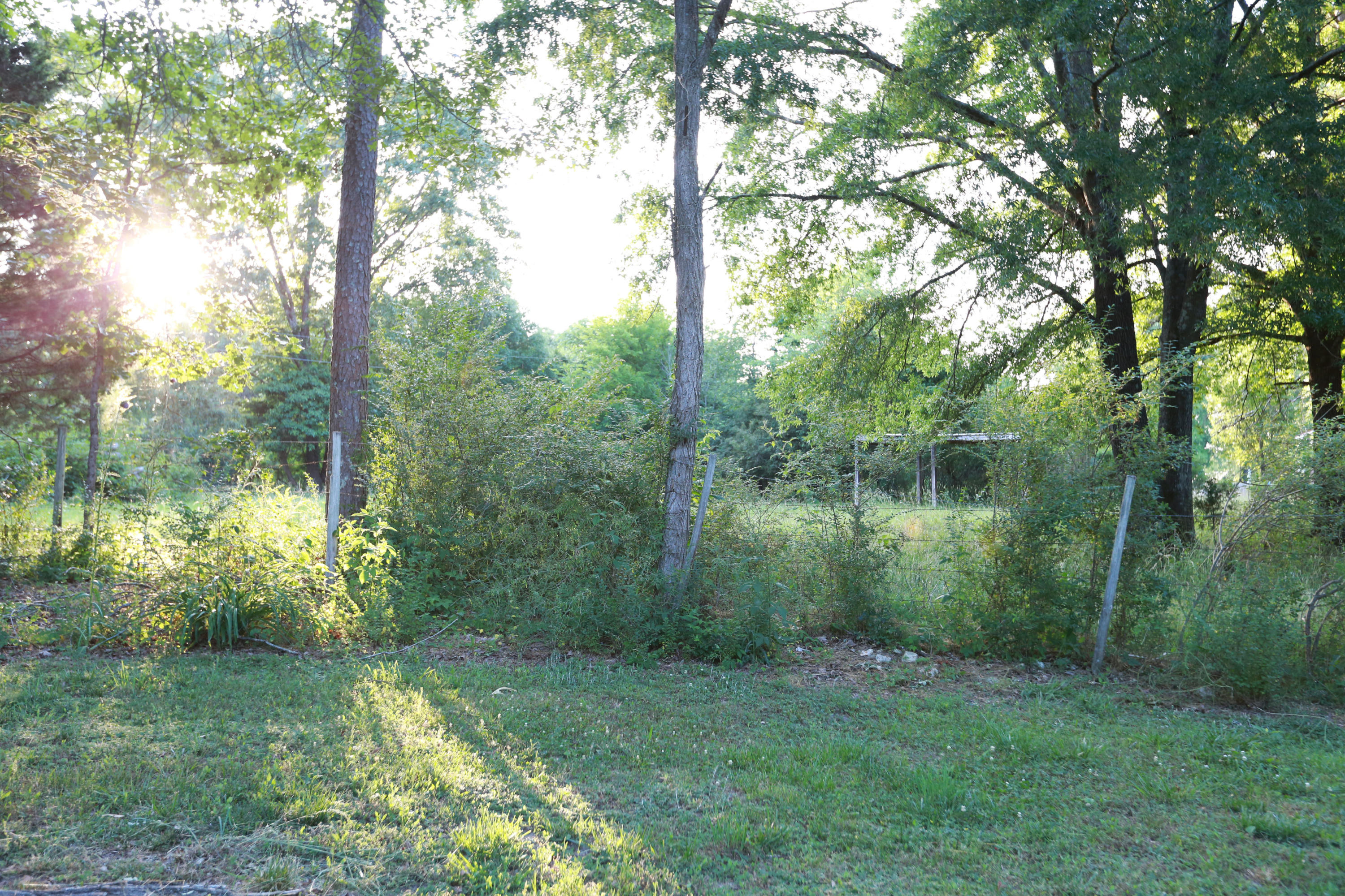7244 Sims Road Harrison, TN 37341 - Photo 46 of 51 Harrison Property-0060