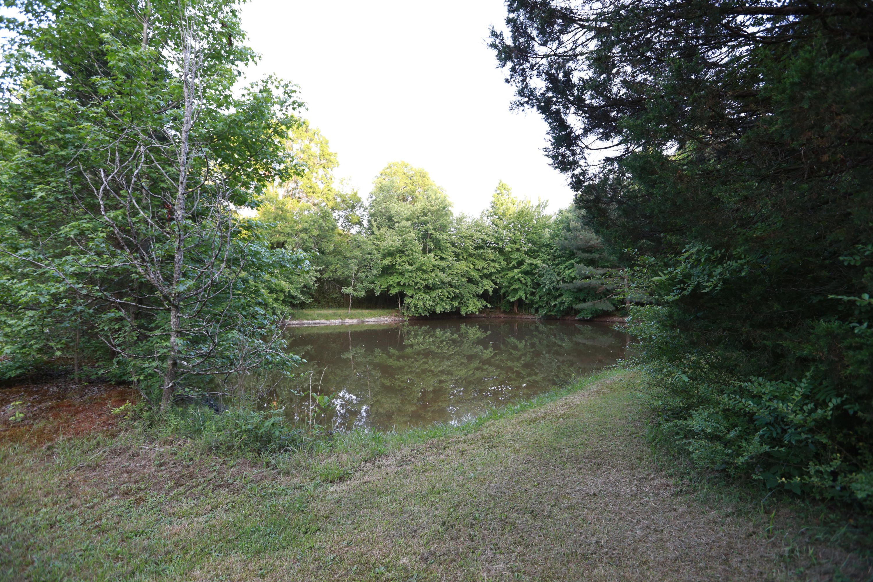 7244 Sims Road Harrison, TN 37341 - Photo 47 of 51 Harrison Property-0061