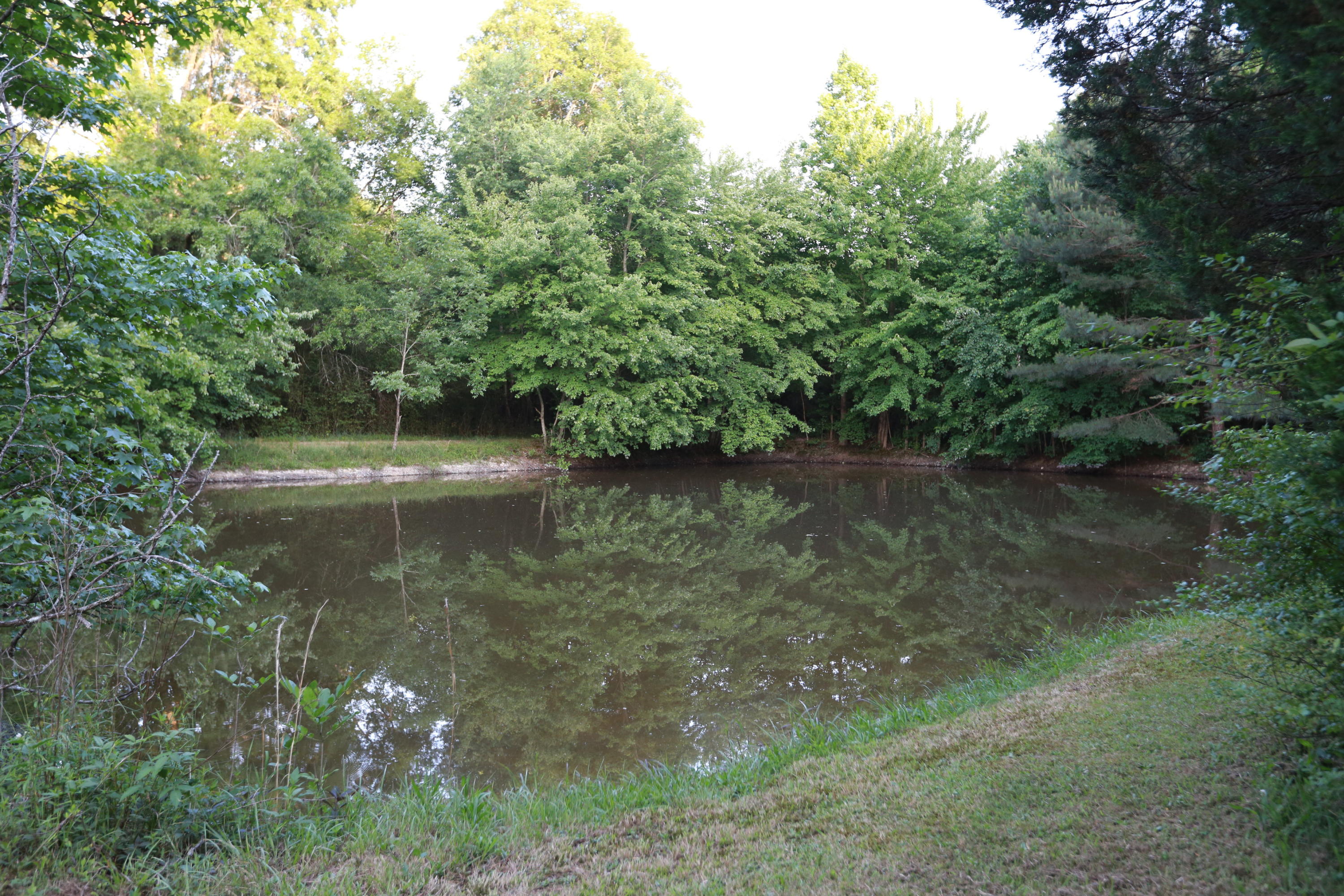 7244 Sims Road Harrison, TN 37341 - Photo 48 of 51 Harrison Property-0062