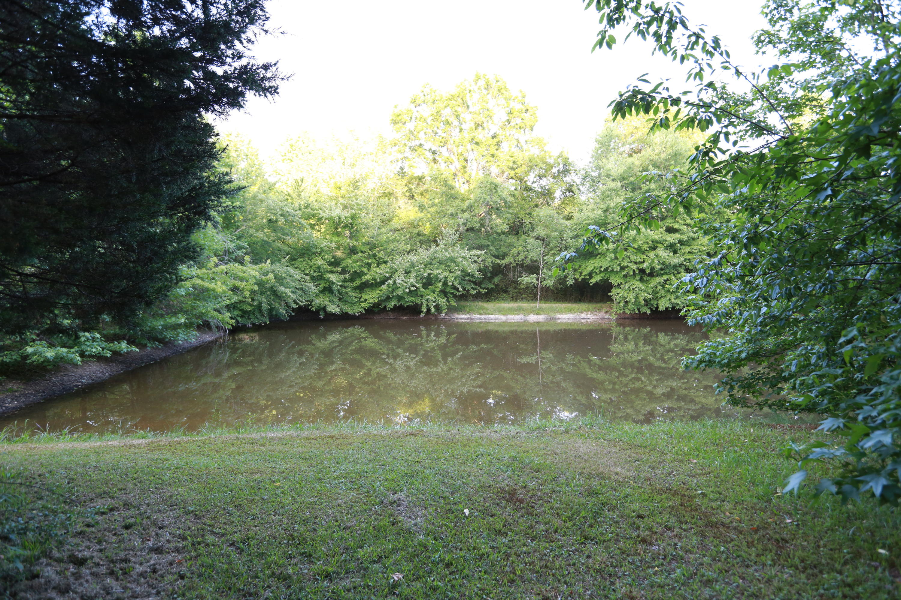 7244 Sims Road Harrison, TN 37341 - Photo 49 of 51 Harrison Property-0063