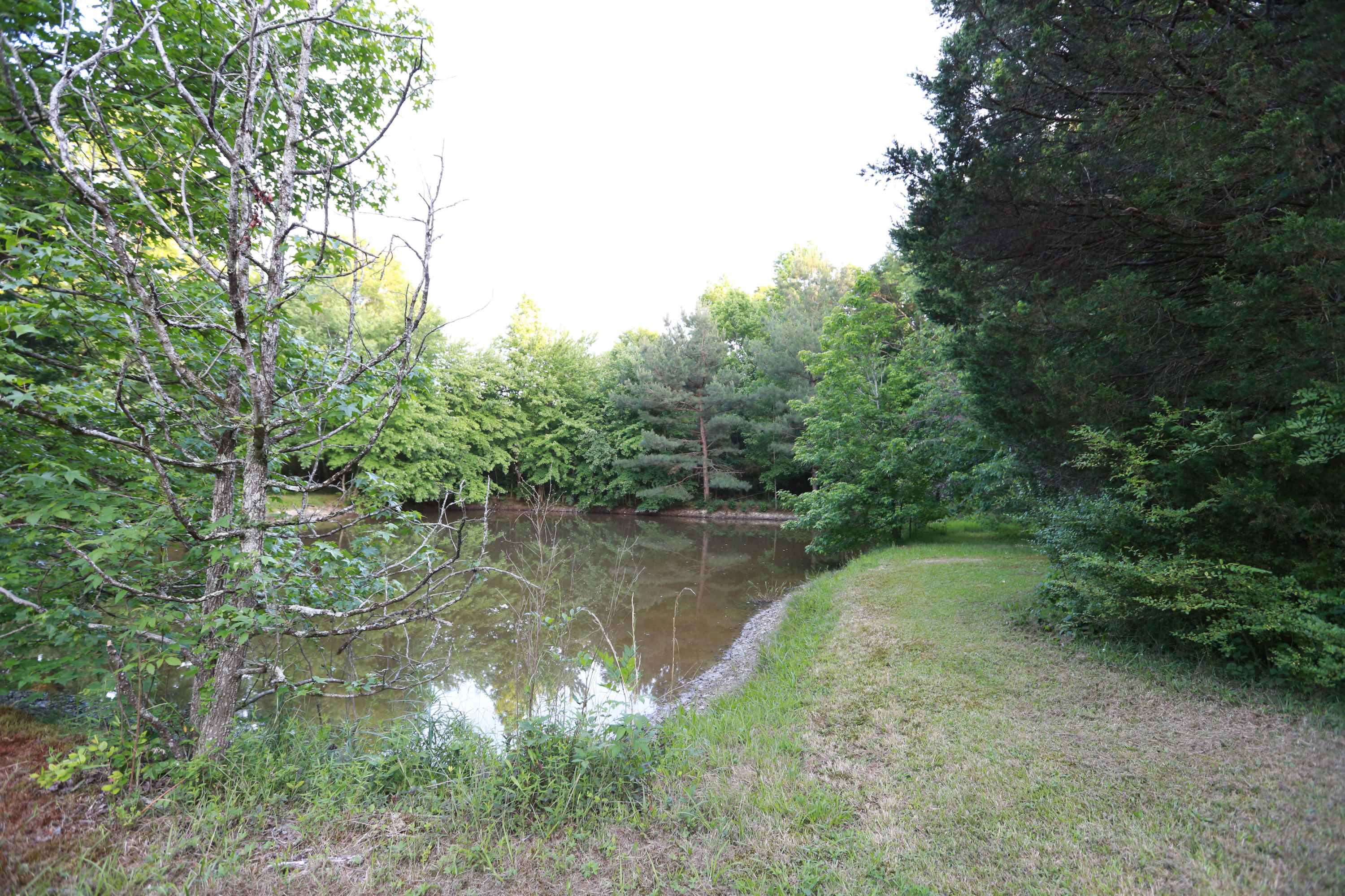 7244 Sims Road Harrison, TN 37341 - Photo 50 of 51 Harrison Property-0064