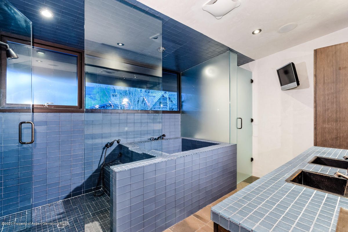 263 Park Avenue Aspen, CO 81611 - Photo 16 of 32