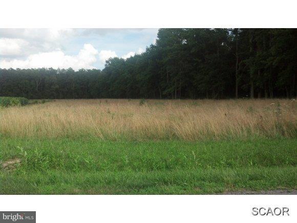 Lot 1 East Redden Road Georgetown, DE 19947 - Photo 1 of 2 Gallery Image 1