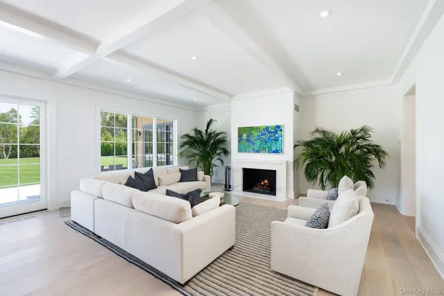 a living room with furniture potted plant and a fireplace