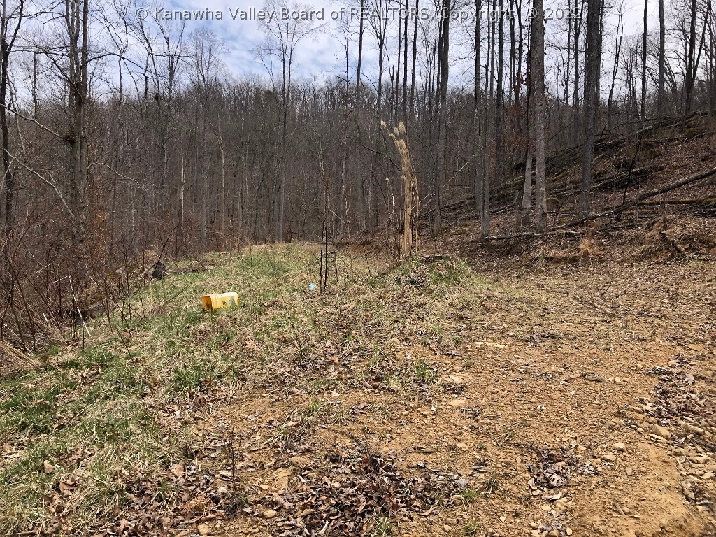 355 Stable Branch Road Genoa, WV 25517 - Photo 37 of 45 Gallery Image 37