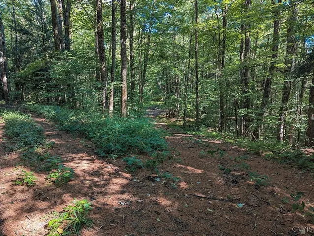 $59,900 | Creekview-off Drive Vienna Ny 13308, Blossvale, NY 13308