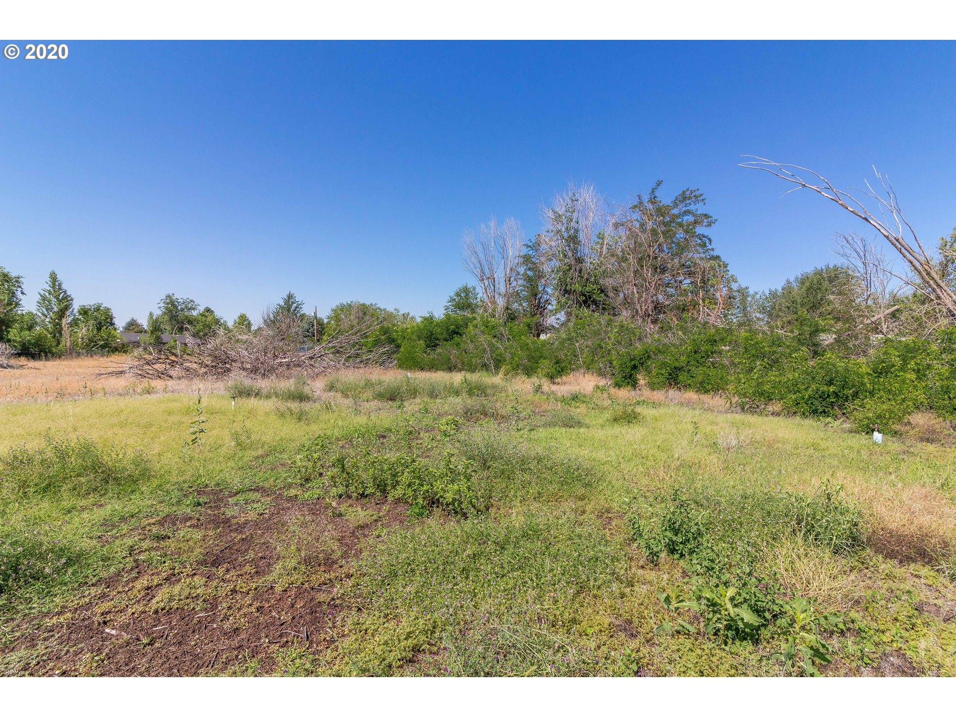 528 South First Street Irrigon, OR 97844 - Photo 21 of 21 Gallery Image 21