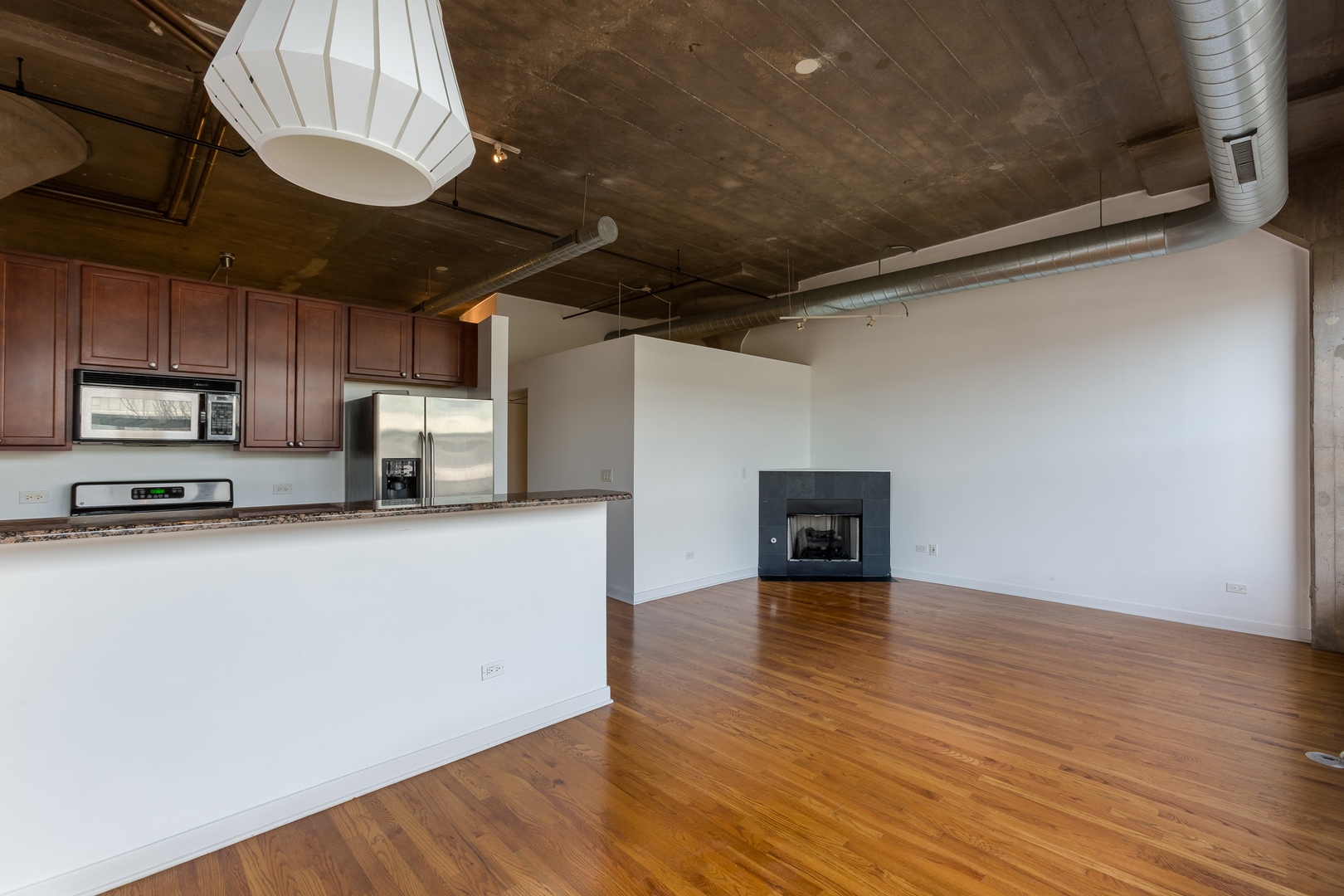 1001 West 15th Street, Unit 335 Chicago, IL 60608 - Photo 2 of 14