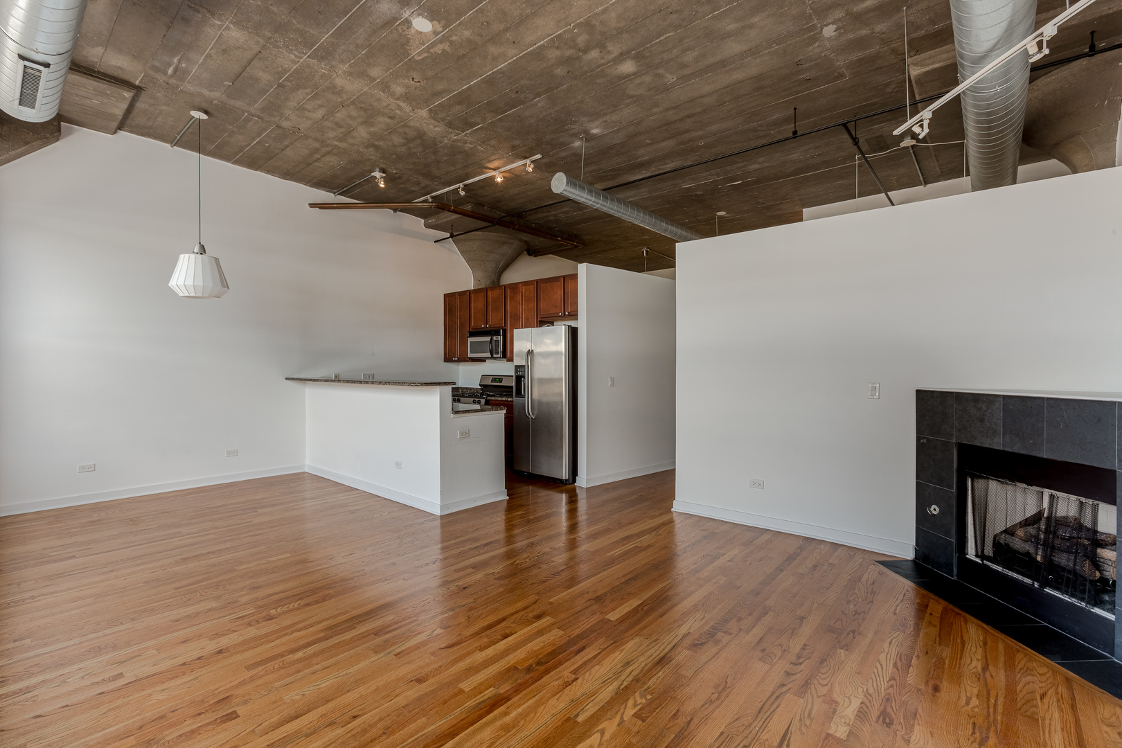 1001 West 15th Street, Unit 335 Chicago, IL 60608 - Photo 3 of 14