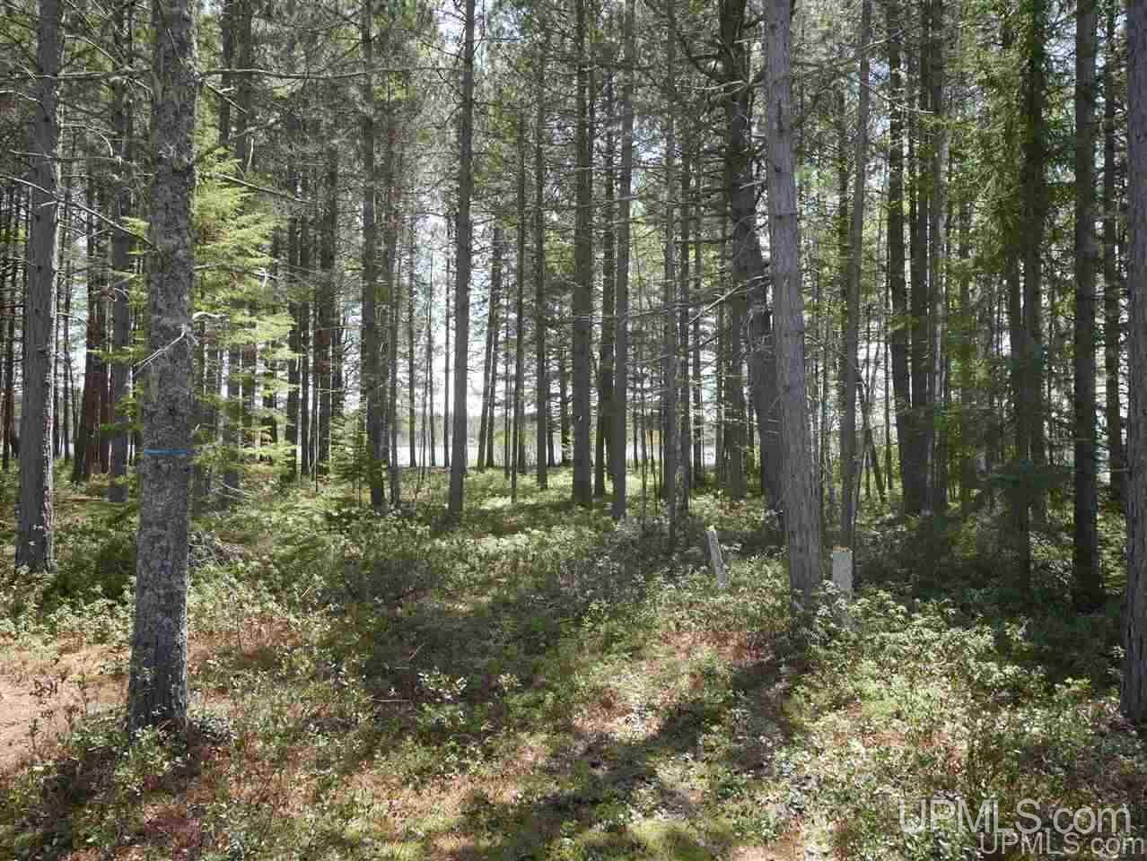 33985 Rice Landing Rd Lake Lake Linden, MI 49945 - Photo 14 of 30