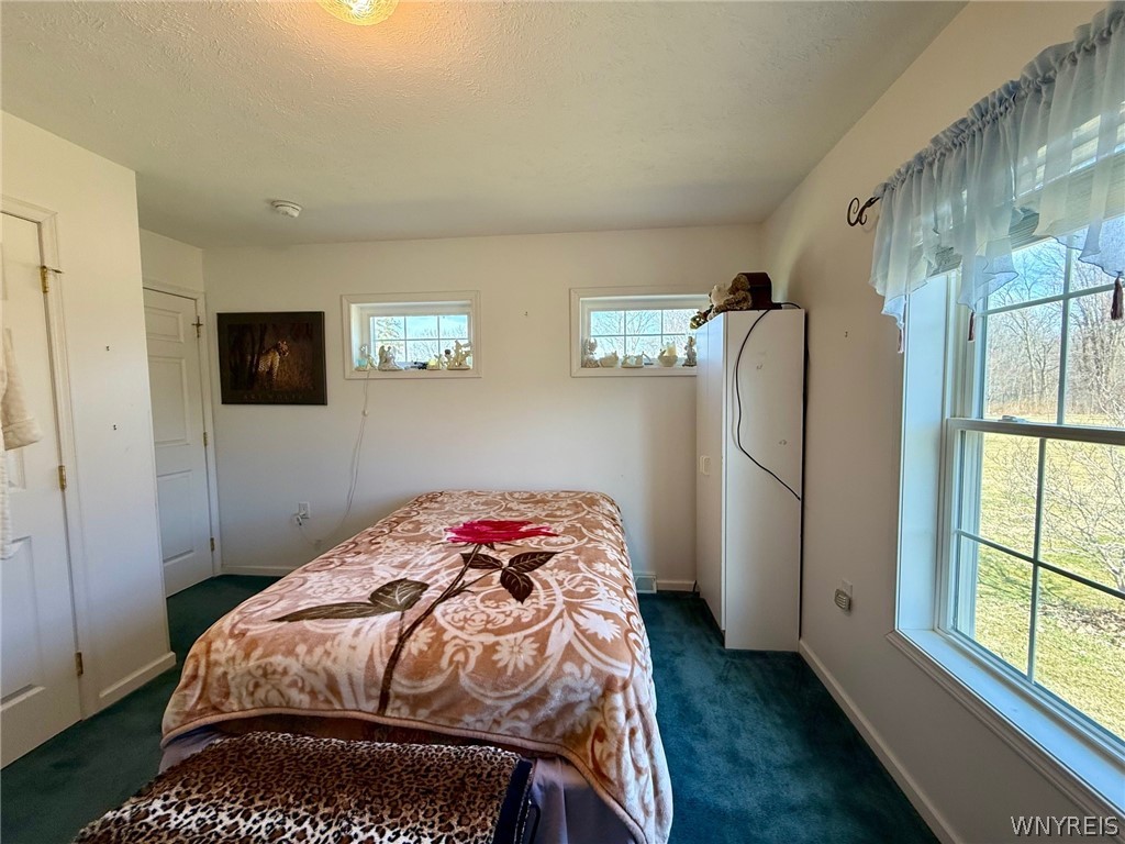 6969 Nash Road Wheatfield, NY 14120 - Photo 19 of 25