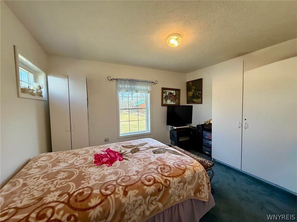 6969 Nash Road Wheatfield, NY 14120 - Photo 20 of 25