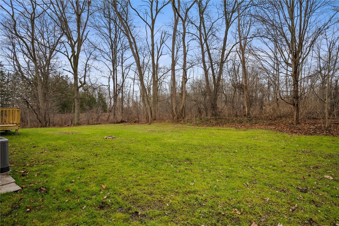 7908 West Henrietta Road Rush, NY 14543 - Photo 8 of 50 Backyard