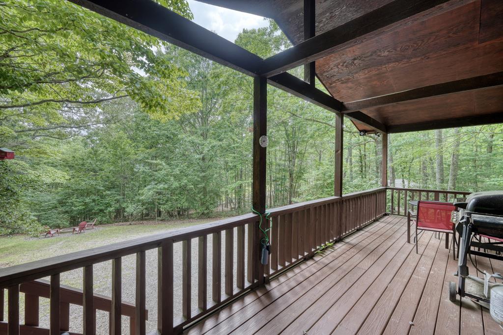 65 Dallas Hill Road Blairsville, GA 30512 - Photo 4 of 43 Gallery Image 4