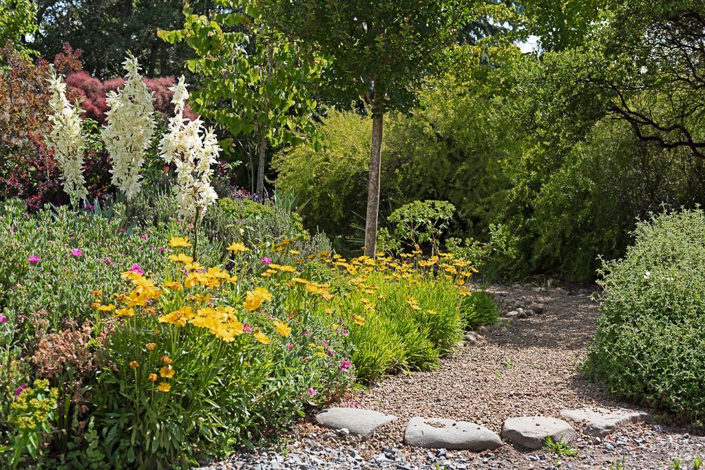 4542 Thomas Road Sebastopol, CA 95472 - Photo 37 of 60 a view of a garden with plants