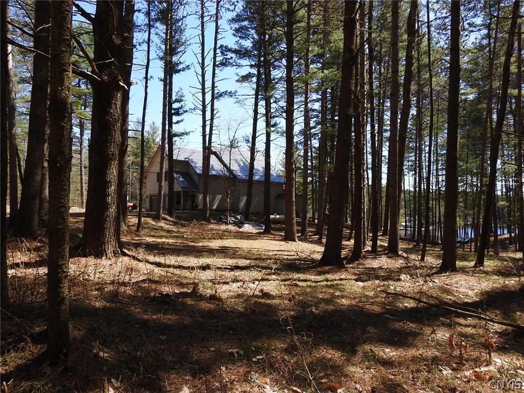 5771 Long Point Road Brantingham, NY 13312 - Photo 41 of 49 The view from the second driveway. This gives an i
