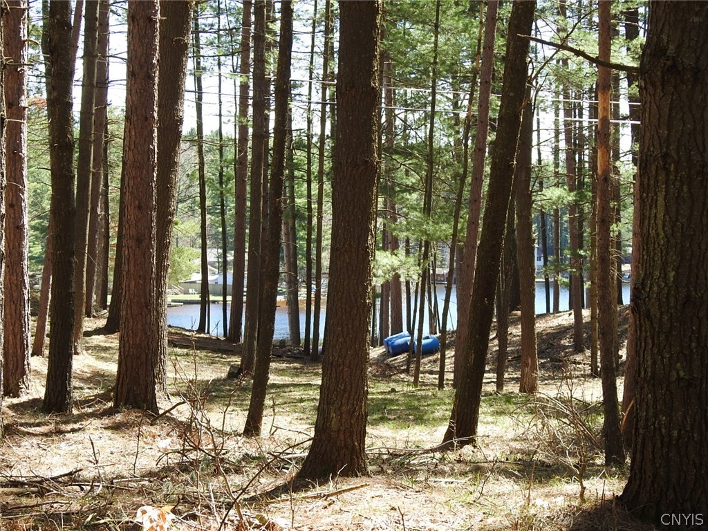 5771 Long Point Road Brantingham, NY 13312 - Photo 9 of 49 One of the Largest Lake Lots. This lot could have