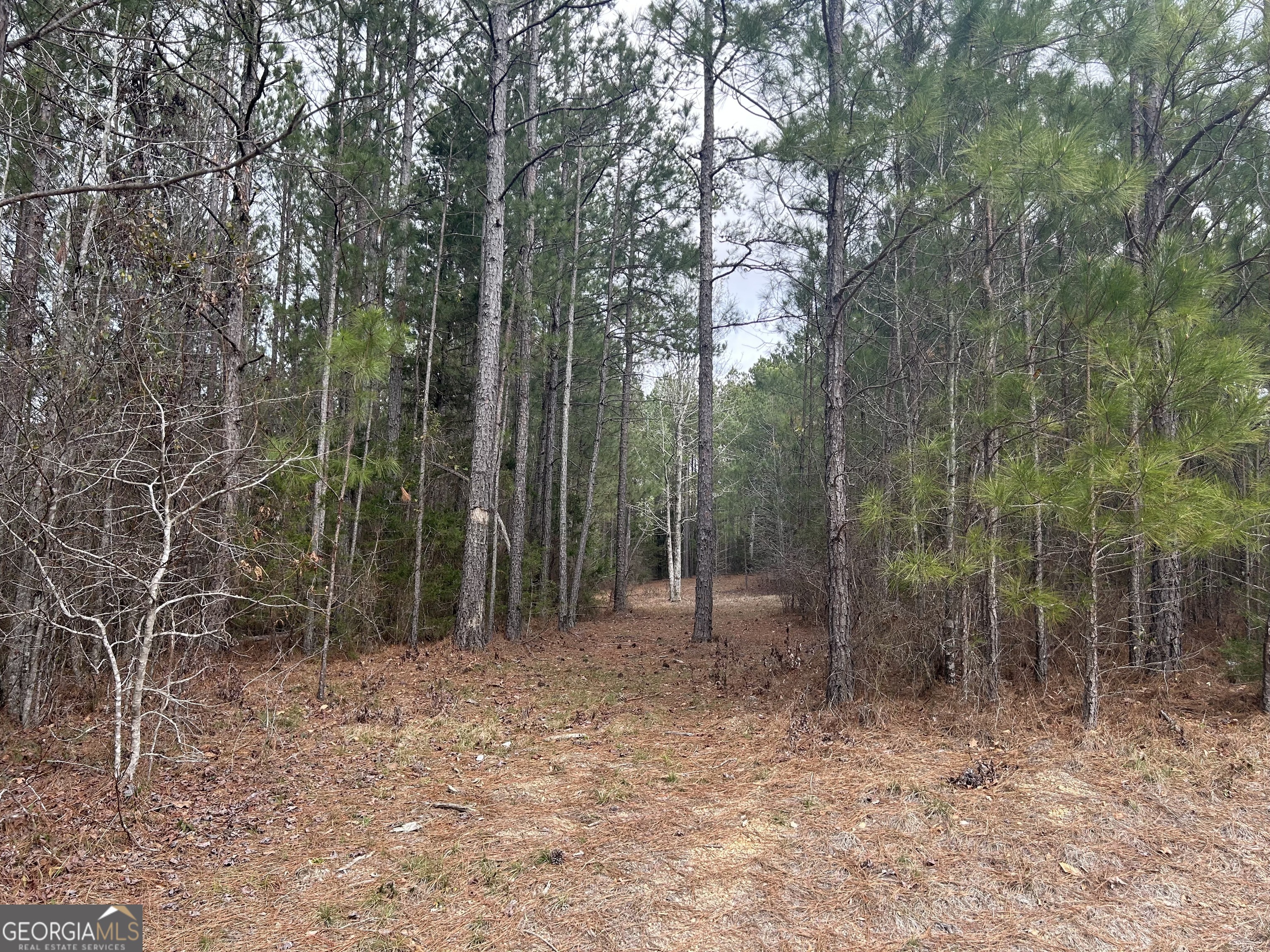 0 Russel Ridge Elberton, GA 30635 - Photo 1 of 1 a view of outdoor space with lots of trees