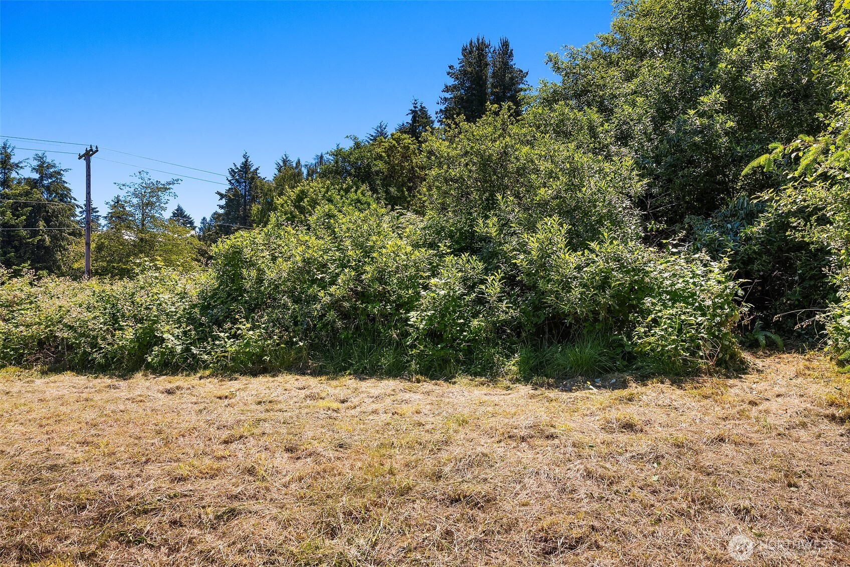 10308 Southwest 116th Street Vashon, WA 98070 - Photo 37 of 38