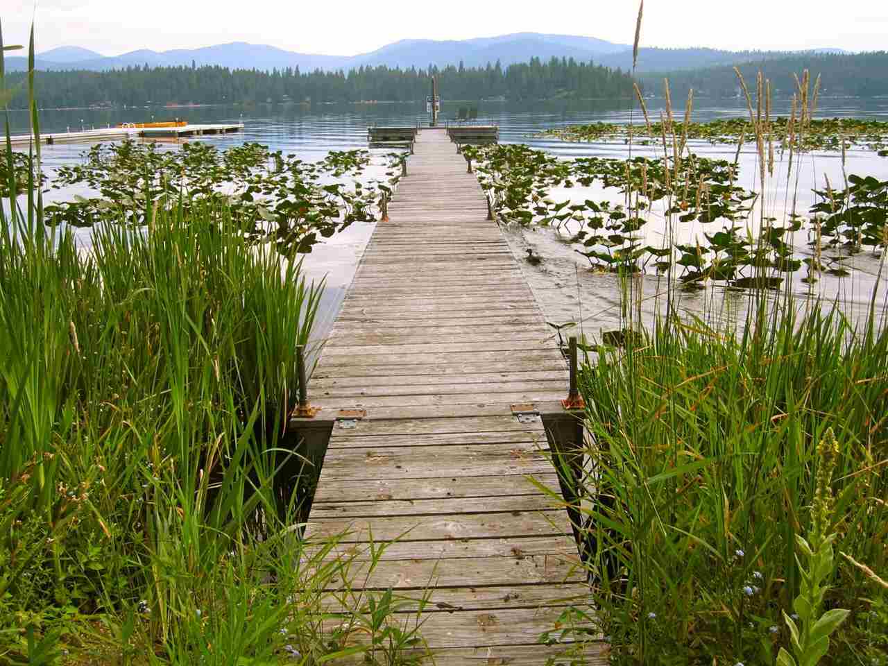 12322 North Newman Lake Road Newman Lake, WA 99025 - Photo 6 of 20