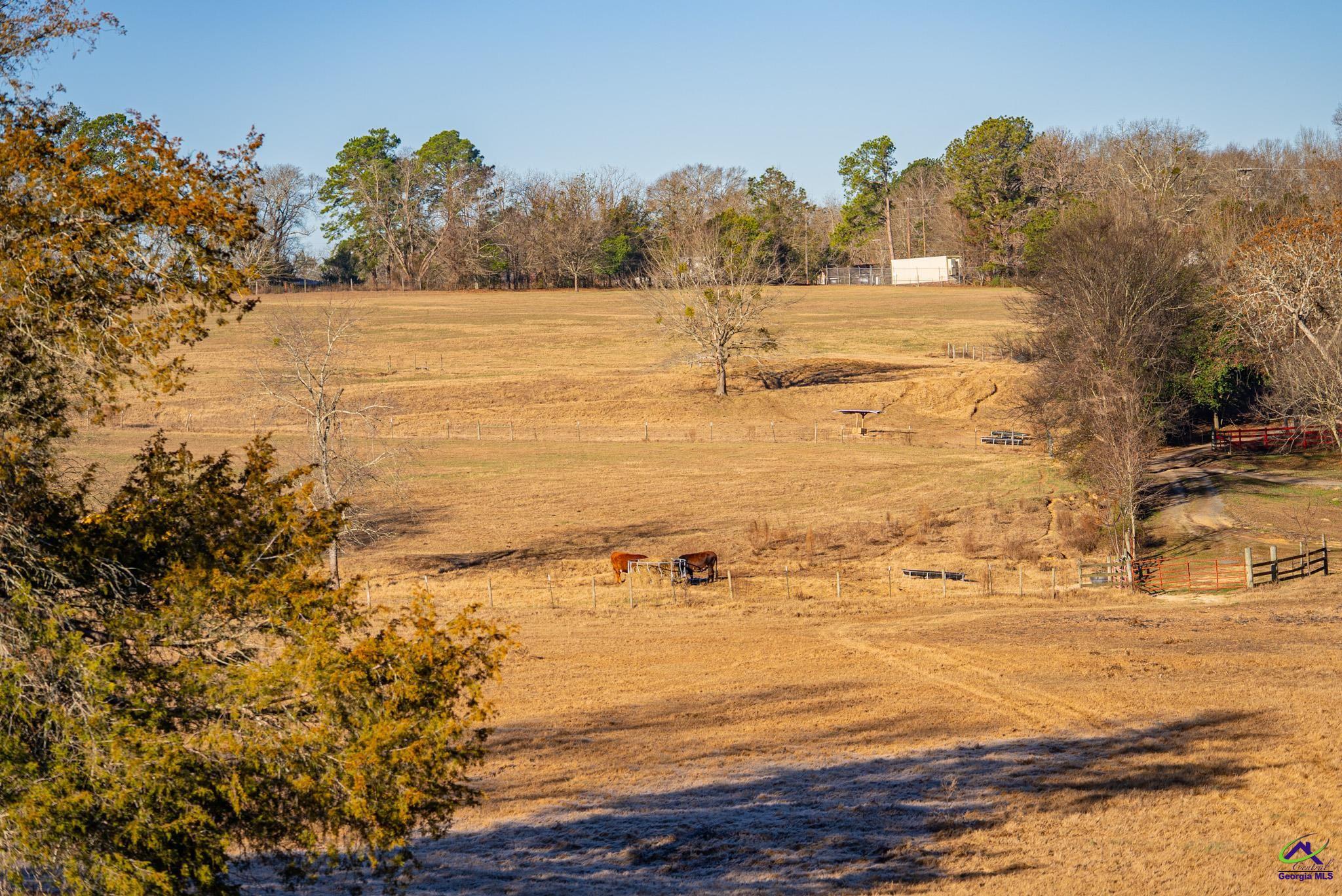 1092 Tommy Purvis Road Reynolds, GA 31076 - Photo 5 of 77