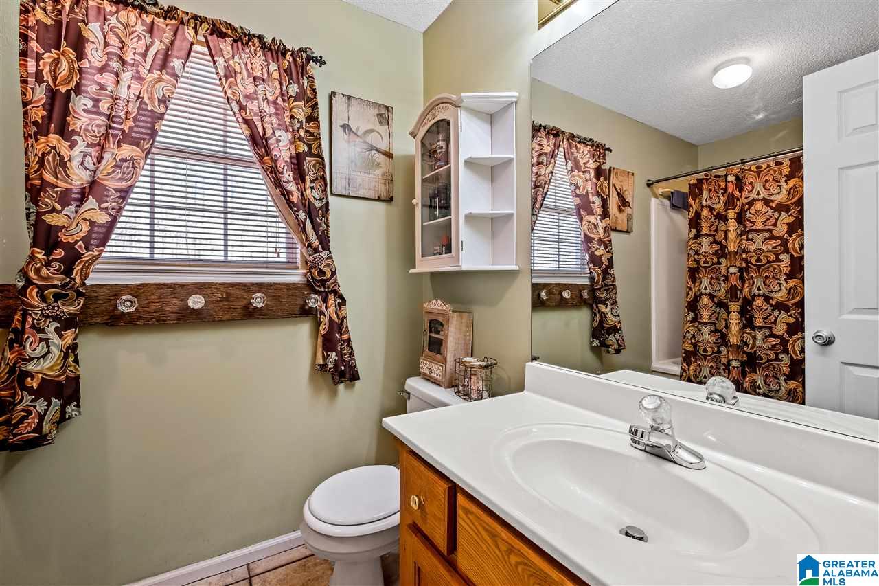 170 Lisa Lane Springville, AL 35146 - Photo 17 of 24